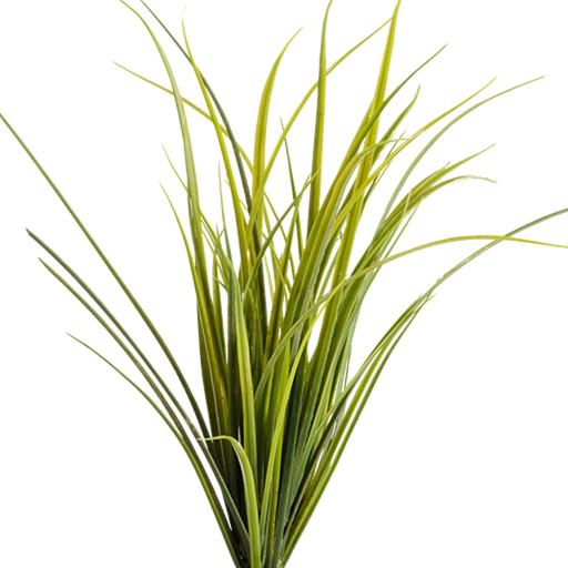Montana Grasses app icon