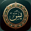 Surah Yasin - القران الكريم icon