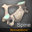 BoneBox™ - Spine Viewer icon