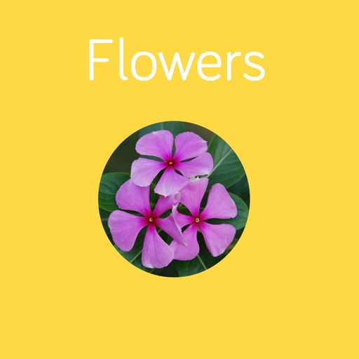Flowers Flashcard for babies and preschool app icon