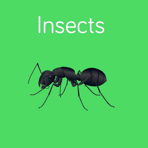 Insects Flashcard for babies and preschool app icon