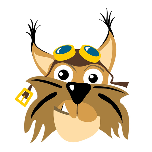 Rysiek - antyradar i wideorejestrator app icon