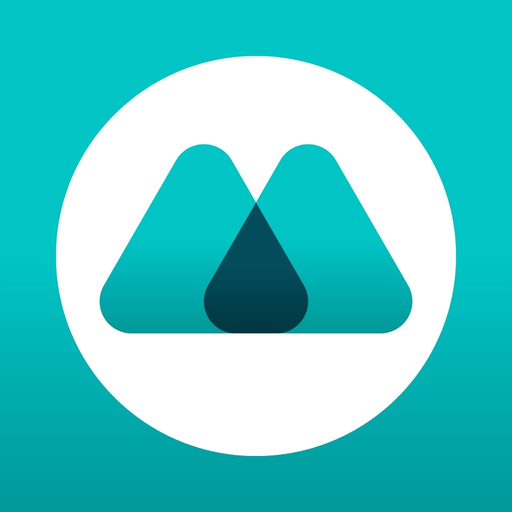 LBM Fleet app icon