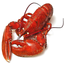 Maine Lobster Shacks icon