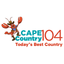 Cape Country 104 WKPE icon