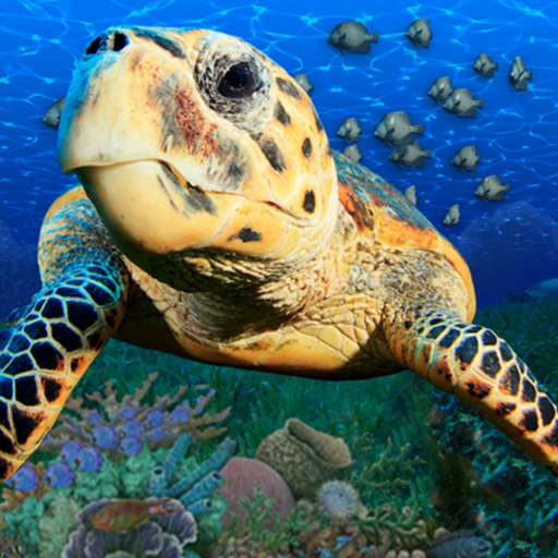 Popar Sea Life app icon