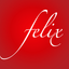 Felixvn icon