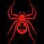Spider Classic Solitaire icon
