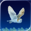 Wise Flyer icon