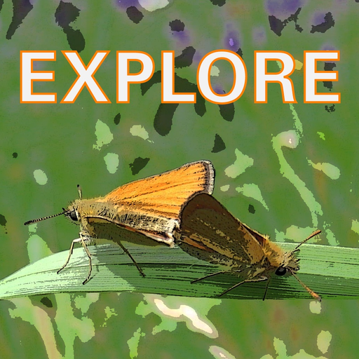 Explore Wild Essex app icon