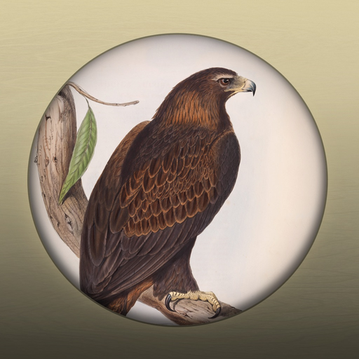 Field Guide to Northern Territory Fauna app icon