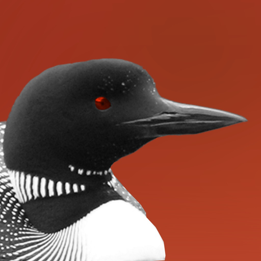 Nishnaabemdaa app icon