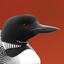 Nishnaabemdaa icon