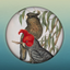 Field Guide to Australian Capital Territory Fauna icon