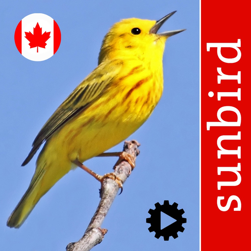 Bird Song Id Canada birdsongs app icon