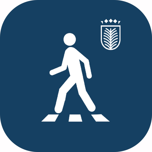 LPA Movilidad app icon
