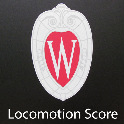 Loco Score app icon