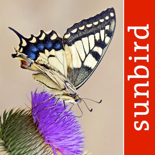 Butterfly Id - UK Field Guide app icon