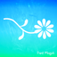 Paint Magick icon