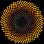Sunflower for Science icon