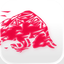 Red Bull Ring icon