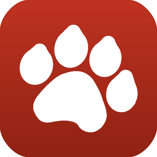 Tag A Cat - The Cat Photo App app icon