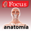 Junior Anatomía icon