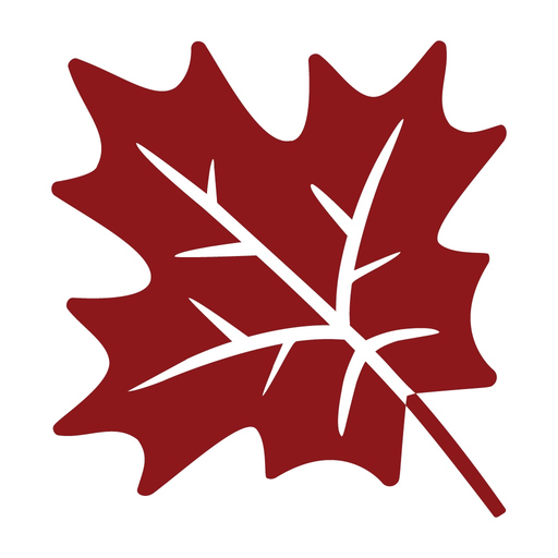 Instant Maple Mobile Banking app icon