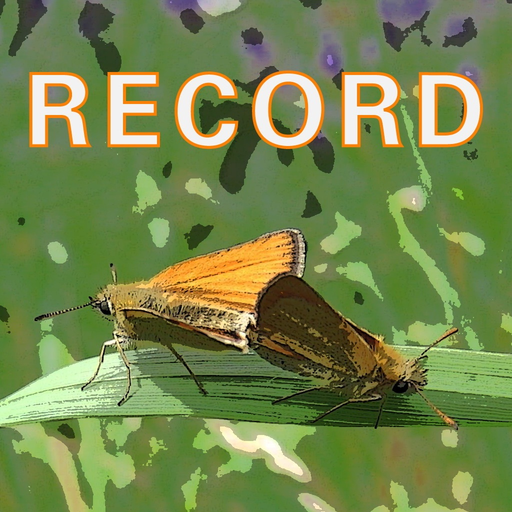 WERecord app icon