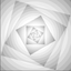 PairMirror icon