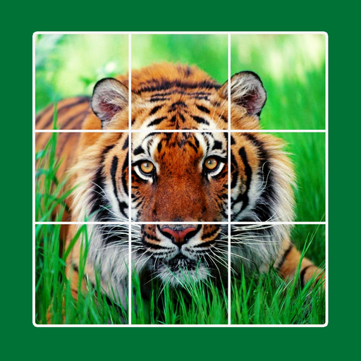 Animal puzzle: kid jigsaw game app icon