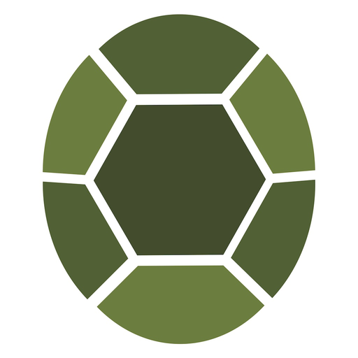 Turtle app icon