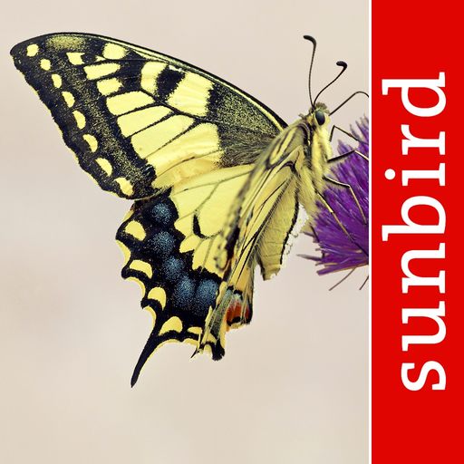 Schmetterling Id - Tagfalter app icon