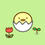 Chicken Flap icon
