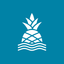Chubbies Shorts icon