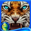 Surface: Reel Life HD - A Supernatural Hidden Object Mystery icon