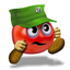 Captain Tomato & the Magic Gate icon