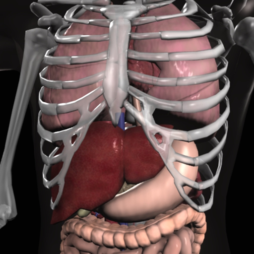 Anatomy 3D Organs app icon