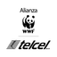 WWF-Telcel icon