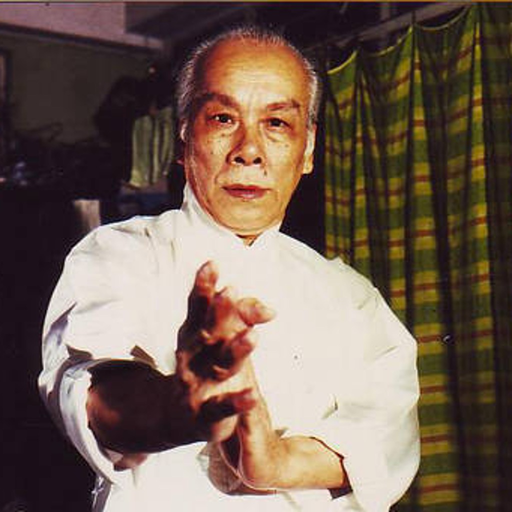 Lok Yiu Wing Chun app icon