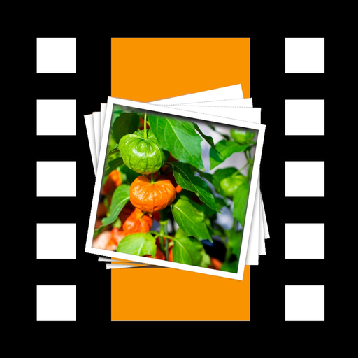 MyImageToVideo app icon