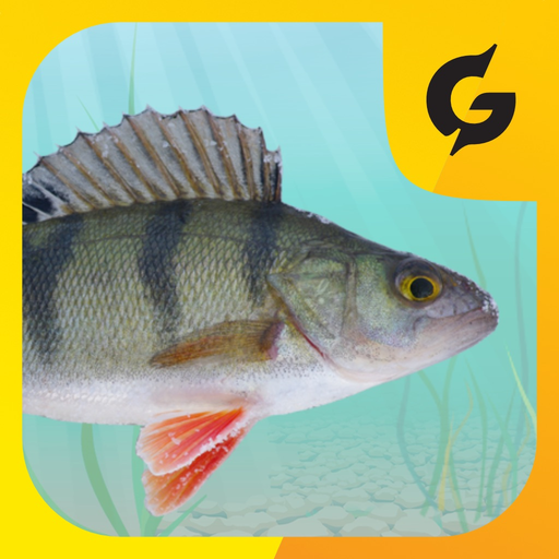 Kalamäng app icon