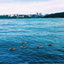 Tashlich Prayer - סדר תשליך icon