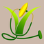 Rice Doctor icon