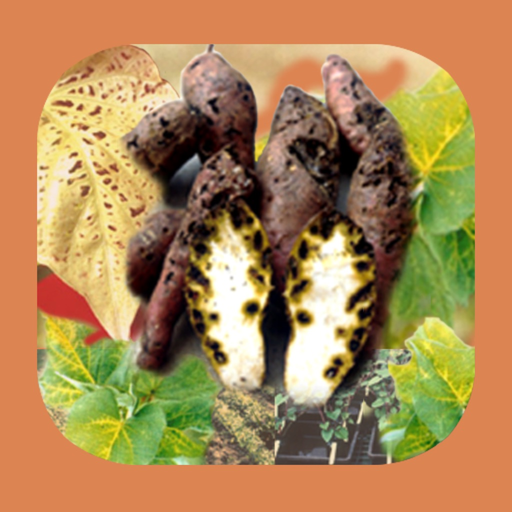 Sweetpotato DiagNotes app icon