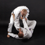 Guide Brazilian Jiu-Jitsu BJJ icon