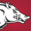 Arkansas Razorbacks icon