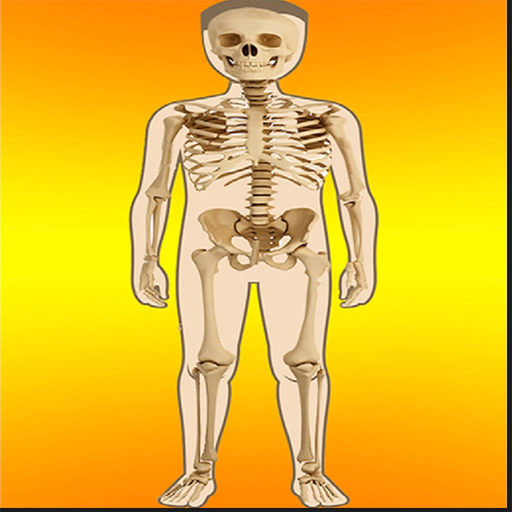 Body Parts Skeletal & Internal app icon