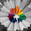 PhotoSplash FX editor icon