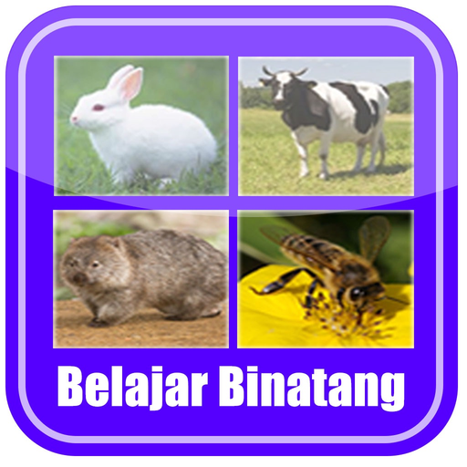 Belajar Membaca Binatang app icon